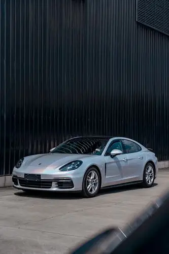 帕拉梅拉 镭射闪白