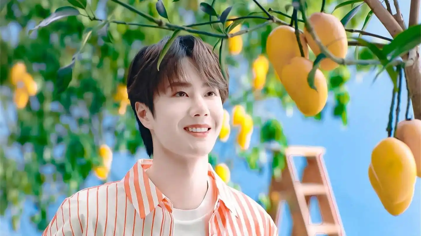 王一博:从"洛阳白牡丹"到全能顶流,他的逆袭之路有多燃?