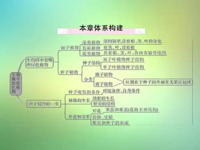 七年级生物上册第三单元第一,二章小结与复习课件(新版)新人教版3答案