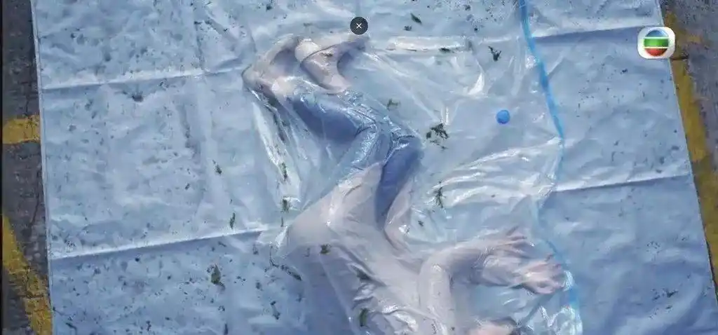 法证Ⅳ扮死尸睡真空袋1个多小时谢芷伦被压至五官变形