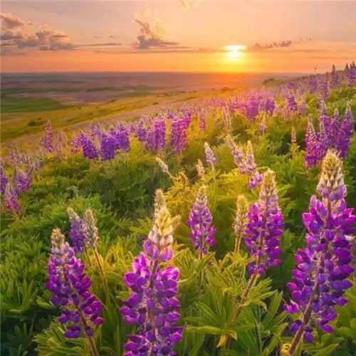 适合一辈子风景头像图片