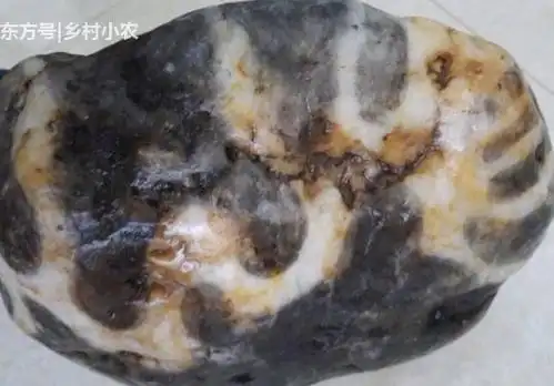 农村女子无意中捡到一块石头,细看后,发现上面有条"龙"!