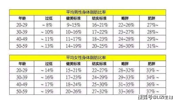 丽姿国际 | 如何控制体脂率?