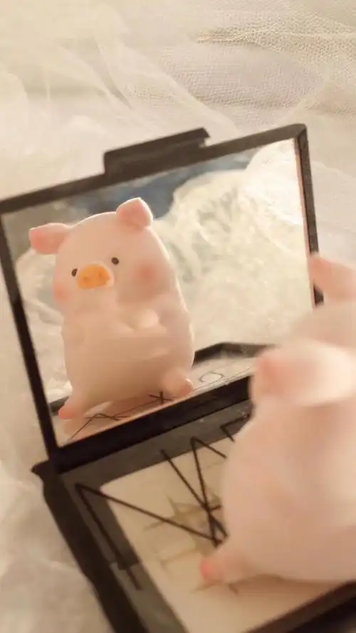 可爱调皮的小猪静物背景图