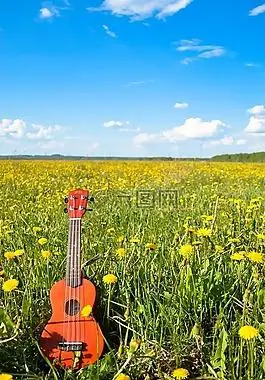 花,吉他,天空