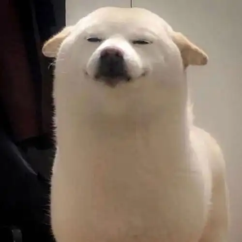 有没有那种笑得很开心或者看起来就很开心开心到模糊最好的头像