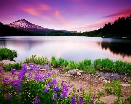 首页 自然与风景 湖 春天的湖霞光满天 壁纸 / 1280x1024 壁纸下载