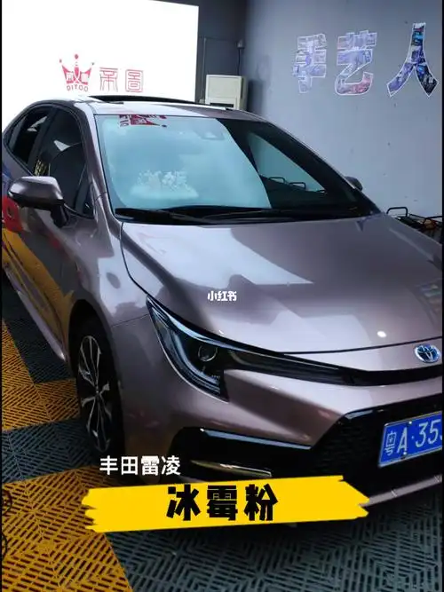 汽车改色贴膜21款丰田雷凌冰霉粉