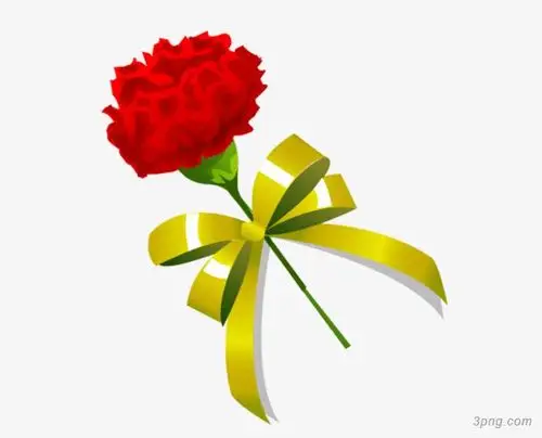 鲜花png素材透明免抠图片-节日元素