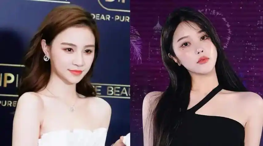 薇娅直播这些年,到底赚了多少钱?