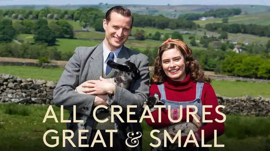 超治愈英剧万物生灵每帧都让我更热爱生活