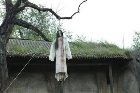 灵异档案 为什么灵异事件总是会出现在办公楼的黑色百合花两鬼拜寿