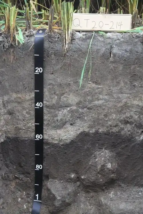 科考队员杨帆和杨飞博士在观察土壤剖面 根据我们对这个剖面的观察