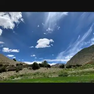 无所谓的人生路头像