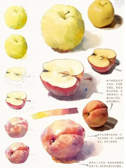 水彩苹果的三种画法