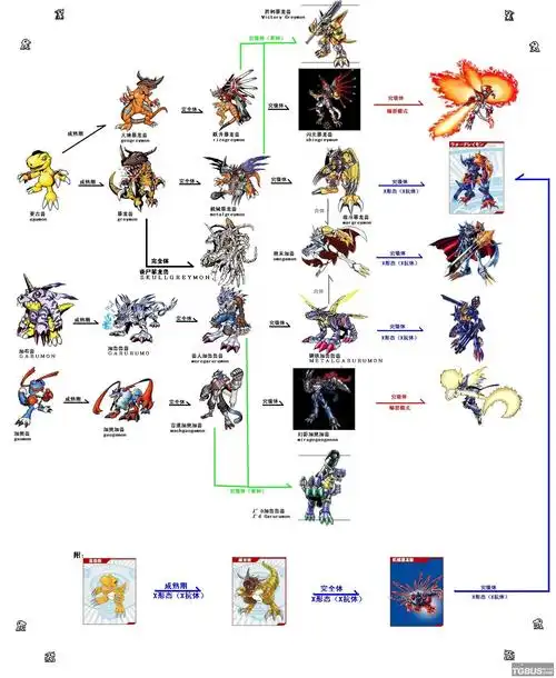 求数码宝贝那几个从进化到究极进化的图片