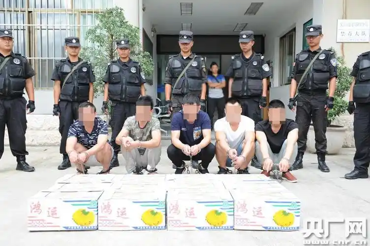 云南保山破获一起特大跨国贩毒案