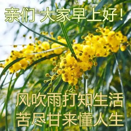 天气暖和早上好问候图片,春天早晨好图片,祝大家早安愉快!