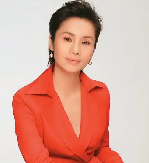 徐俐作为一位家喻户晓的主持人,她自从进入央视以来一直担任《中国