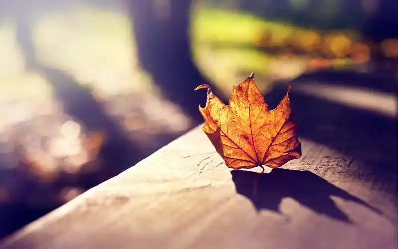 精选大自然好看的风景lomo风格唯美意境图片电脑桌面壁纸下载(二)