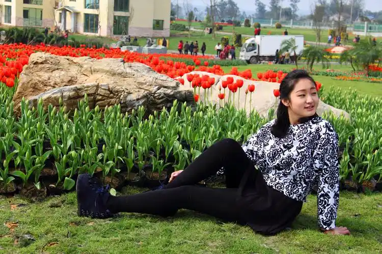 南充搬罾的异域风情·荷兰风车郁金香