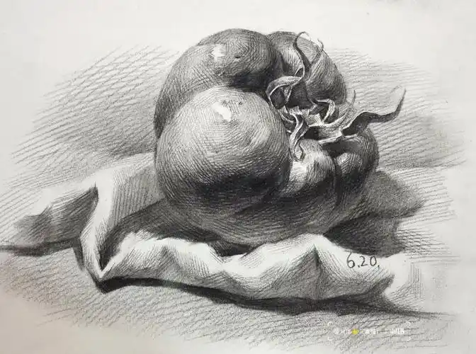 素描静物单个塑造西红柿内含步骤图