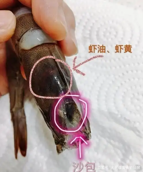 虾头里面是"屎"还是"虾黄"?为啥吃的时候有异味?多数人搞错