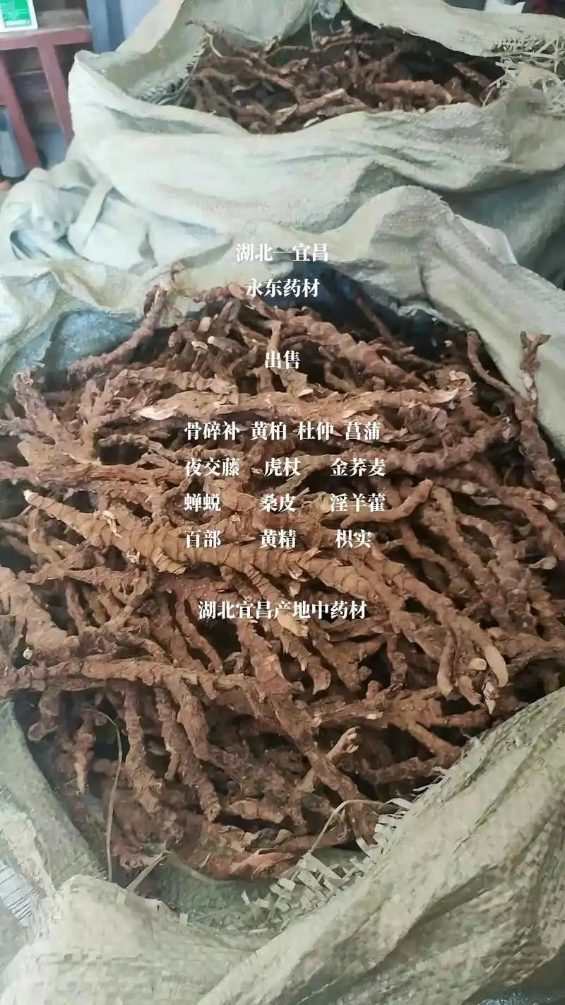 湖北—宜昌 永东药材  出售  骨碎补  黄柏  杜仲  菖 - 抖音