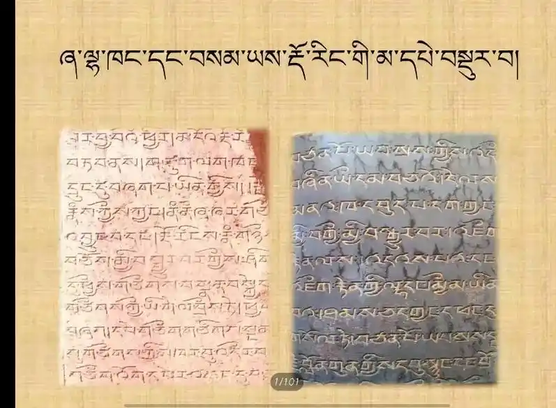 282927   272029 - 抖音