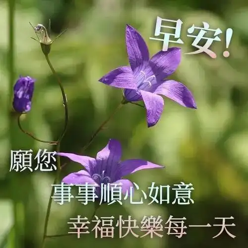 原创7张最新创意唯美早安早上好带祝福语2021不用打字聊天的早上好