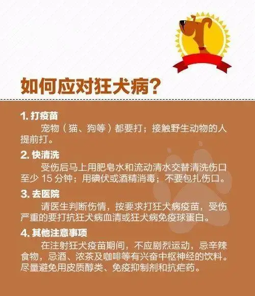 惨不忍睹!重庆梁平紫照镇一幼童被狗咬,撕裂小半边脸!