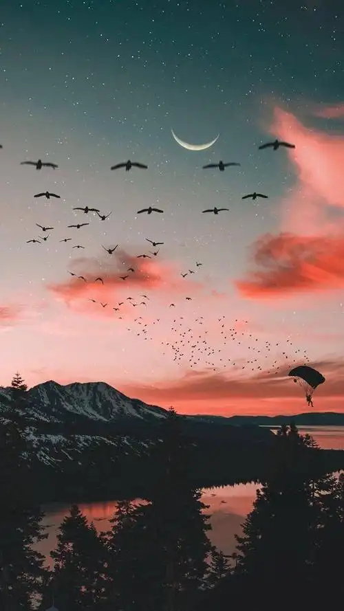 抖音网红壁纸,看看有你喜欢的吗?