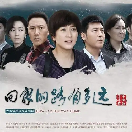 大型都市情感电视剧 回家的路有多远 dvd光盘碟片完整版 闫学晶