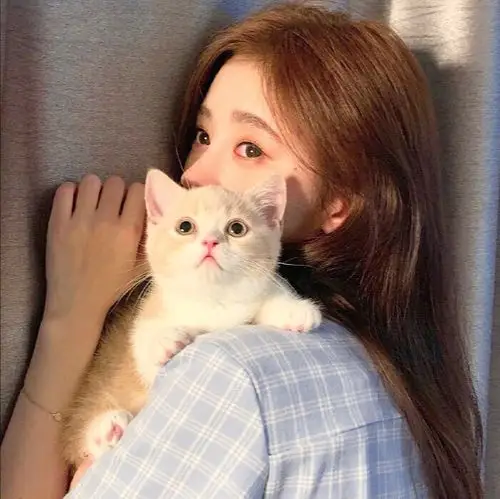 鞠婧祎 鞠婧祎滤镜头像,原图来着堆糖可二改专辑,原图不让二传 抱图dd