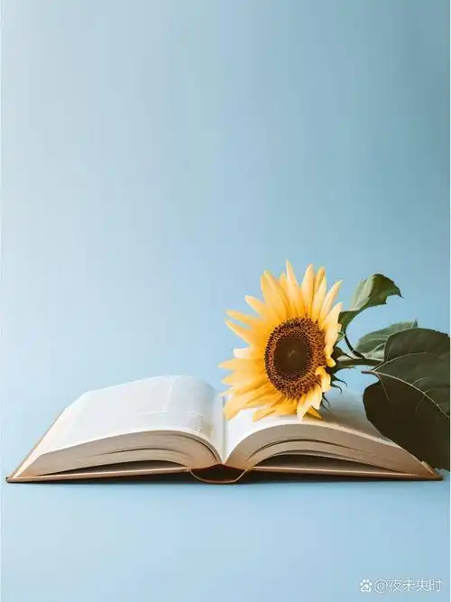 翻开的书本📖丨简约教育主题丨图片分享