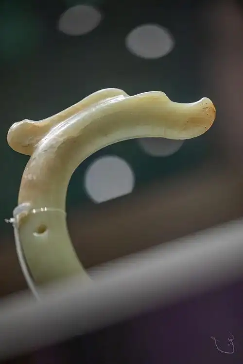 图2 「红山文化·蚌龙」 内蒙古赤峰彩陶坡遗址  图3 「凌家滩文化