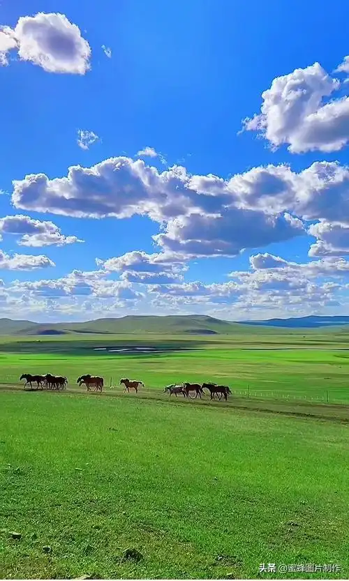 绿色护眼壁纸背景图, 无论去哪沿途都是风景