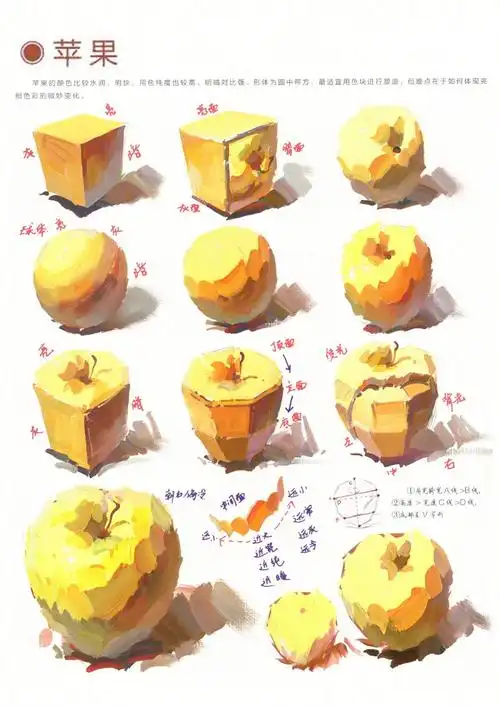 色彩苹果的画法与步骤:1,准备好画画的工具后,在水粉纸上先用铅笔画出