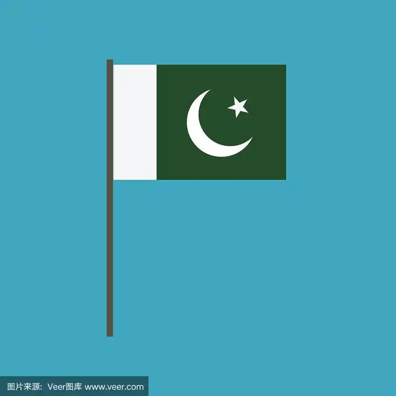 巴基斯坦国旗图标在平面设计