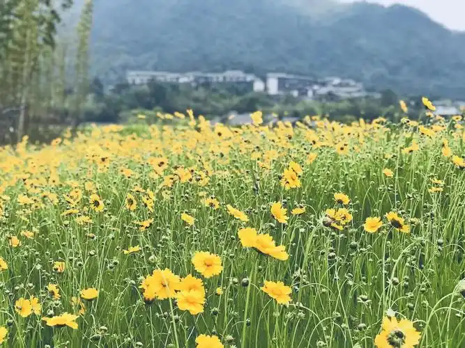 随手一拍记录心情很舒心