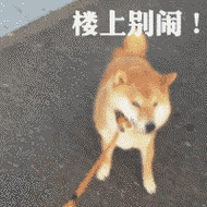 柴犬系列表情包合集史上最全版
