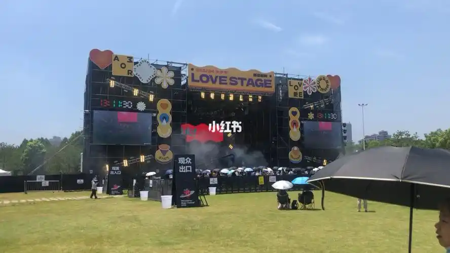 武汉草莓音乐节第二天