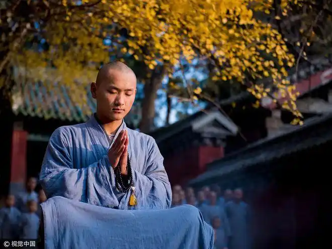 郑州千年古刹秋意浓小和尚树下打坐萌哭人