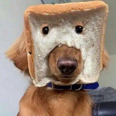 抖音最火沙雕文案笑出腹肌