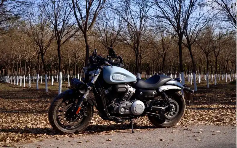 金吉拉300,金吉拉300座高,金吉拉300座高