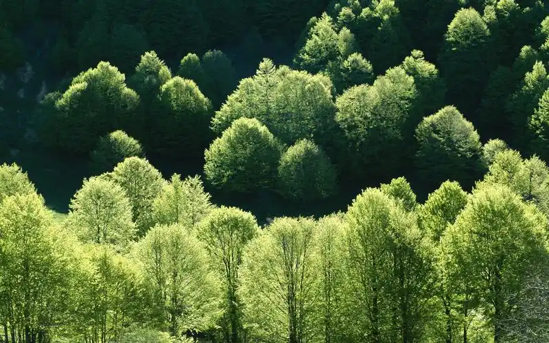 自然风光唯美风景桌面壁纸高清大图预览1920x1200_风景壁纸下载_美桌