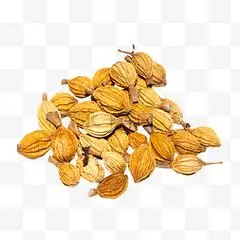 食材配料砂仁