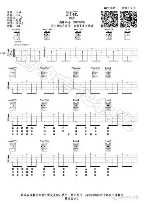 田震《野花》吉他谱