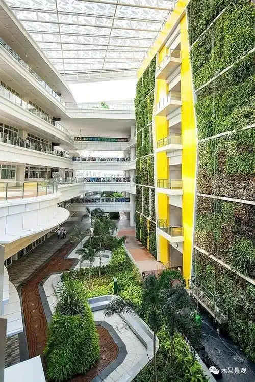 看了就眼馋的中庭景观