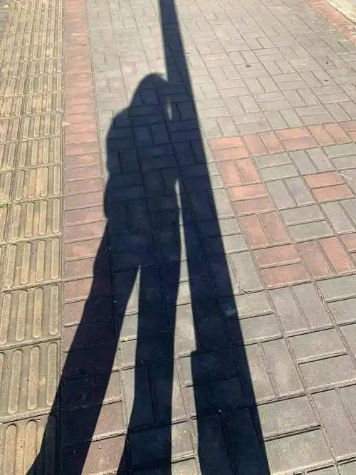 拍摄了蓝天下的路灯,又拍摄了蓝天路灯下自己的影子